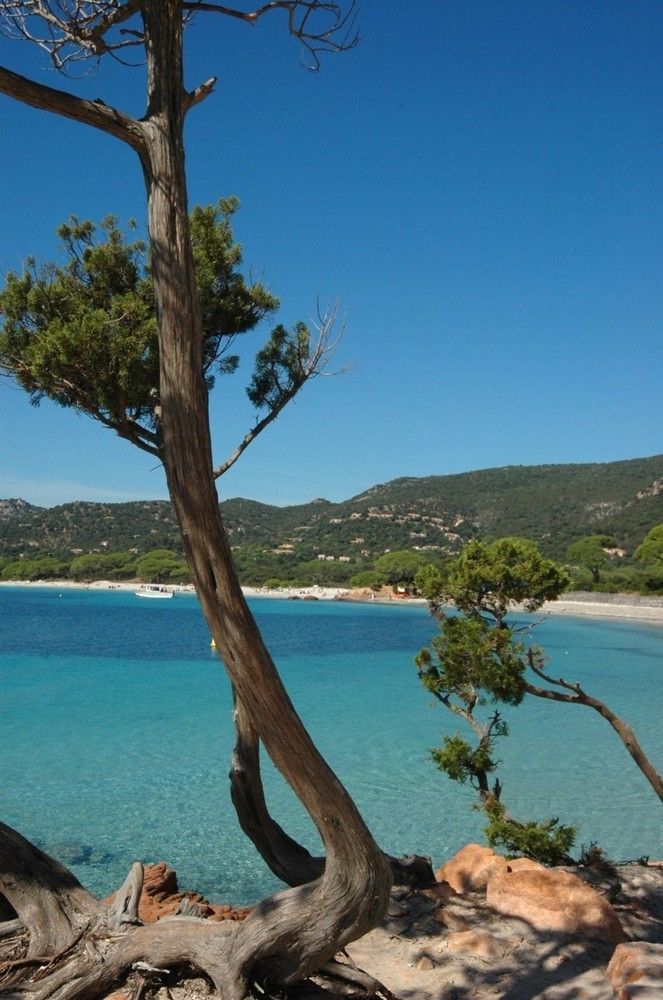 Апарт готель Complesso Residenziale Marina Di Pinarello Пінарелю Екстер'єр фото